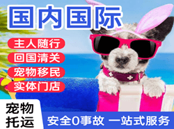 喀什徕宁机场空运国际宠物托运 【国